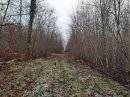 Forêt de Commercy